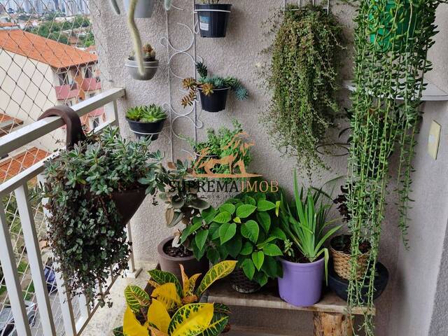 Apartamento para Venda em Sorocaba - 4