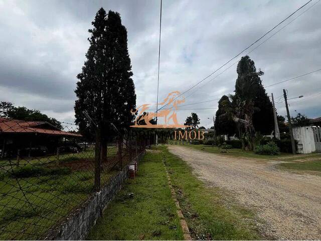 Terreno para Venda em Araçoiaba da Serra - 3