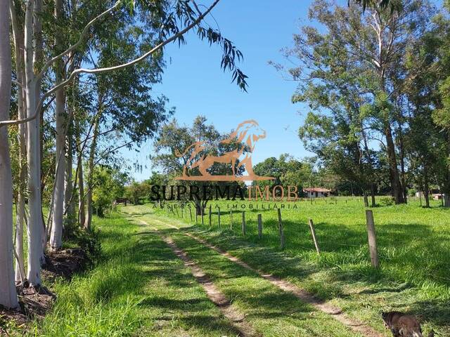 #ST0003 - Sítio para Venda em Boituva - SP